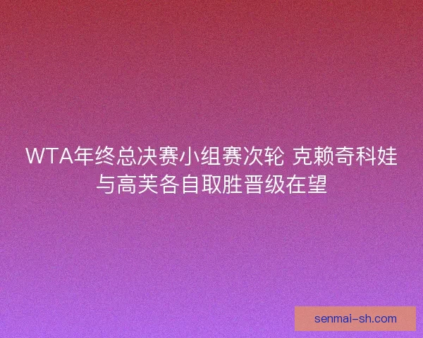 WTA年终总决赛小组赛次轮 克赖奇科娃与高芙各自取胜晋级在望